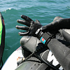 Гидроперчатки Wip Forward Neo Gloves Black